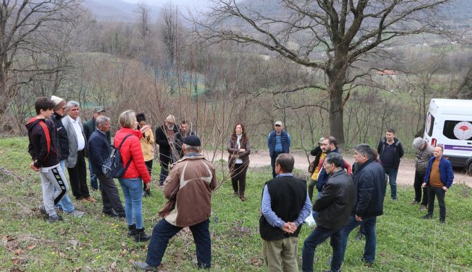Çukurköylü Çiftçilere Trabzon Hurması Budama Eğitimi Verildi
