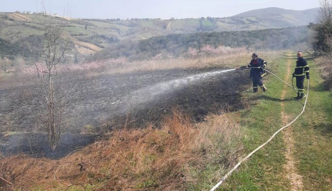 Altınova’da arazi yangını kısa sürede söndürüldü