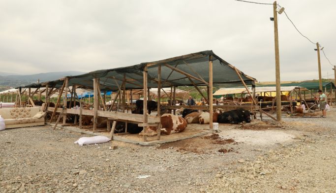 Kurban pazarı artık Kazimiye köyünde…