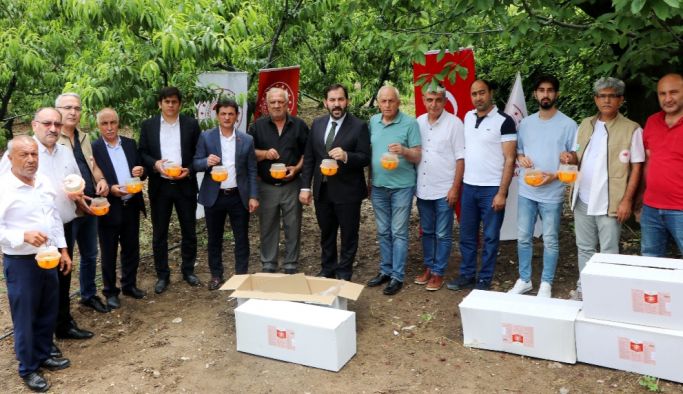 Akdeniz Meyve Sineği ile Biyoteknik Mücadele Amacıyla Çiftçilere Feromon ve Tuzak dağıtıldı